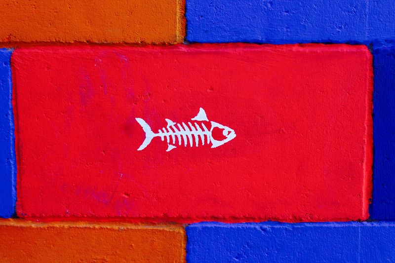 Ishikawa Fishbone Retrospective