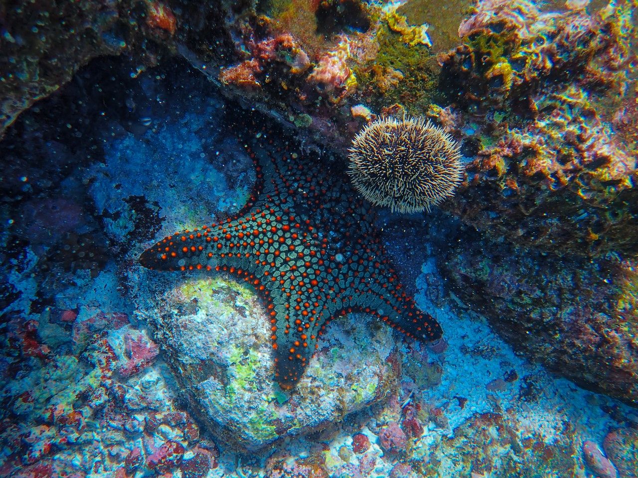 Feature image